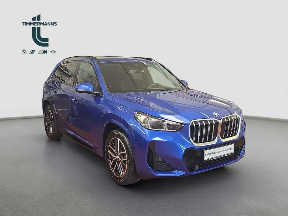 BMW X1 (Bild 8/19)