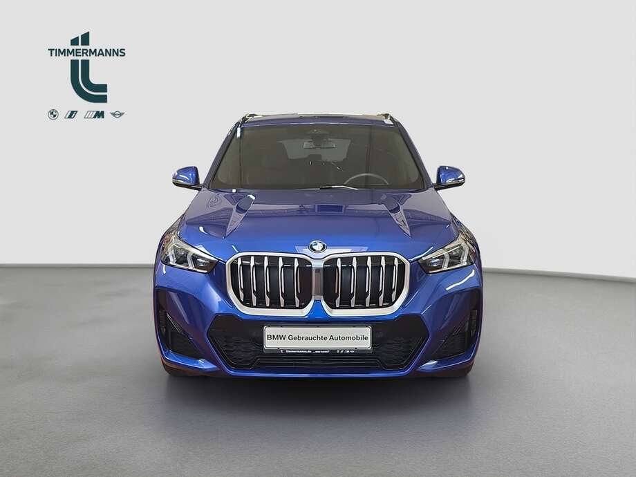 BMW X1 (Bild 9/19)
