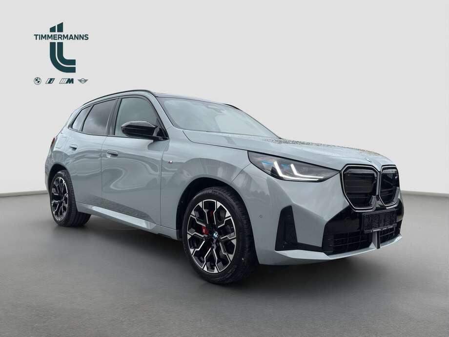 BMW X3 M50 (Bild 7/21)