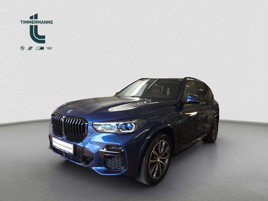 BMW X5 (Bild 1/19)