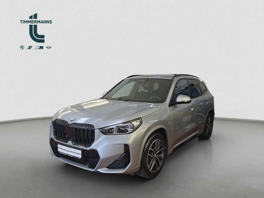 BMW X1 (Bild 1/20)