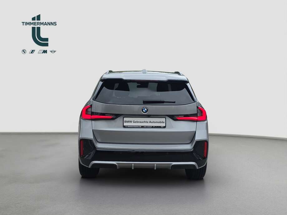 BMW X1 (Bild 4/20)