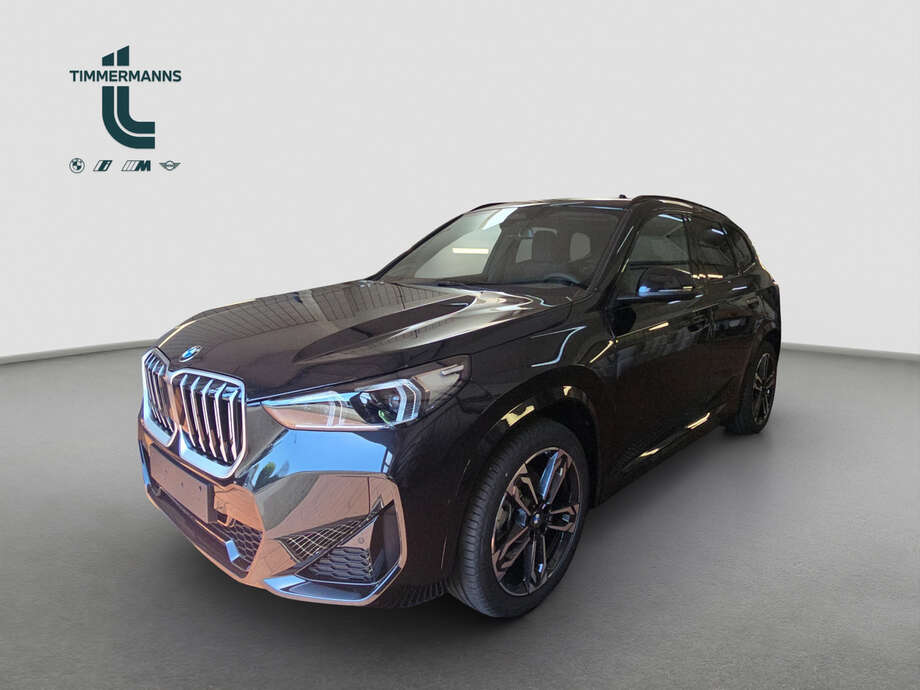 BMW X1 (Bild 1/17)