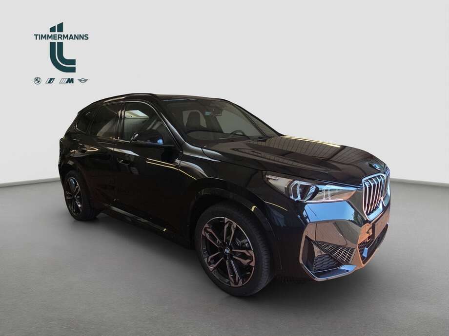 BMW X1 (Bild 7/17)