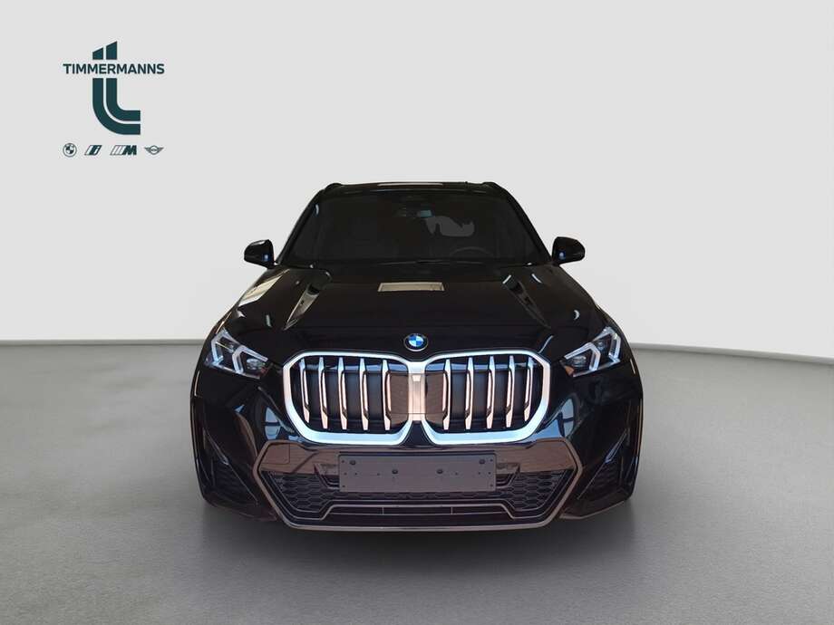 BMW X1 (Bild 8/17)