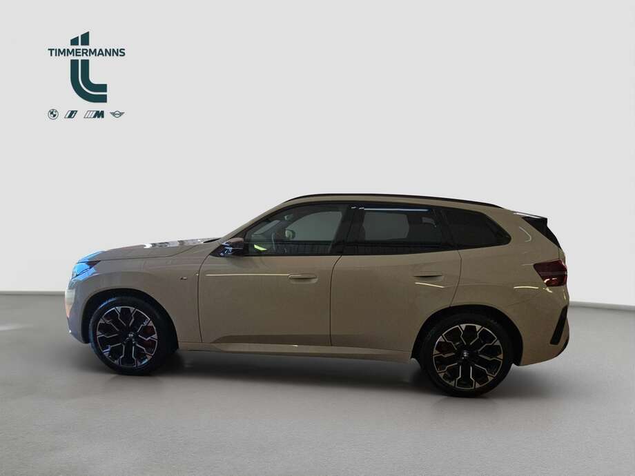 BMW X3 (Bild 2/18)