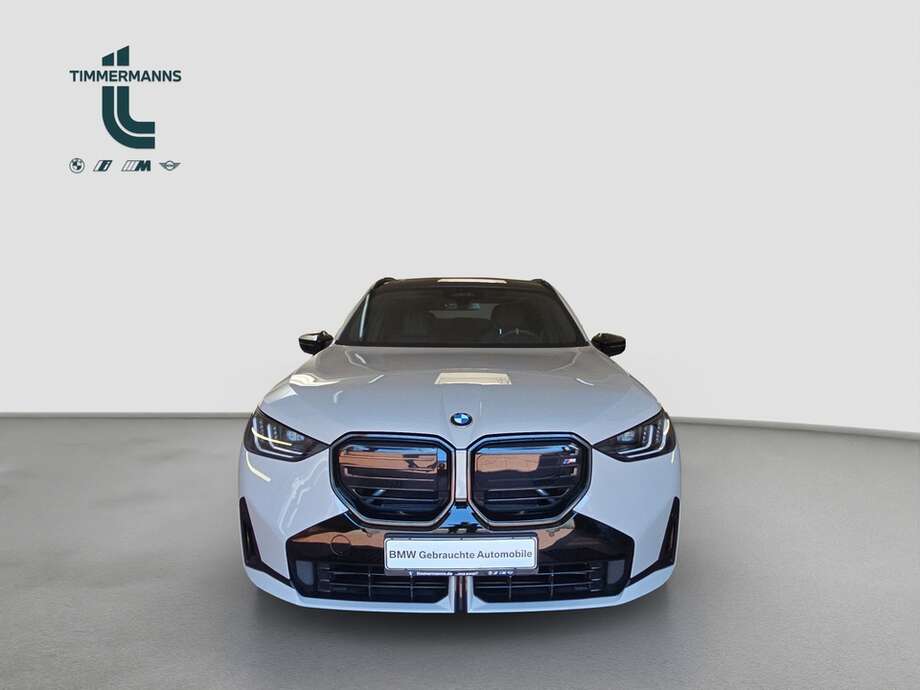 BMW X3 (Bild 8/18)