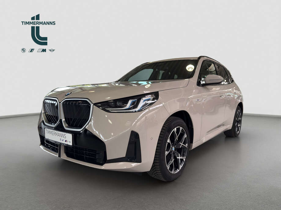 BMW X3 (Bild 1/21)