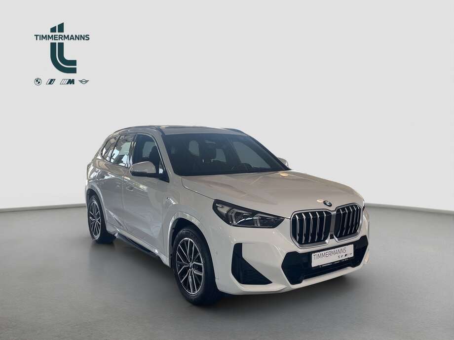BMW X1 (Bild 7/15)