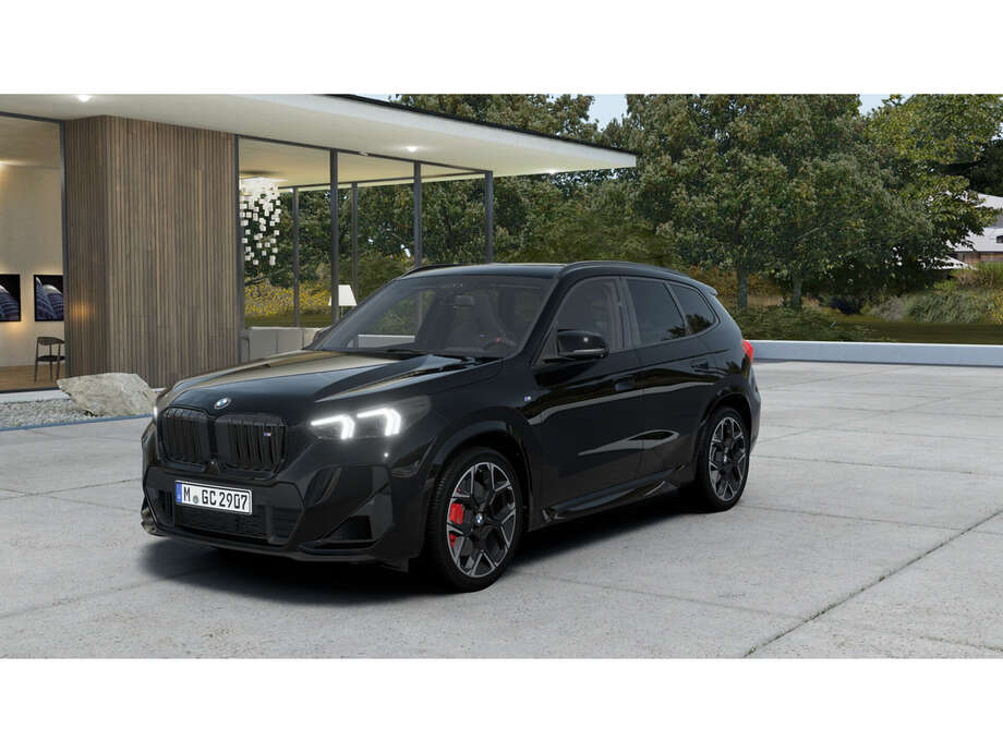 BMW X1 (Bild 1/5)