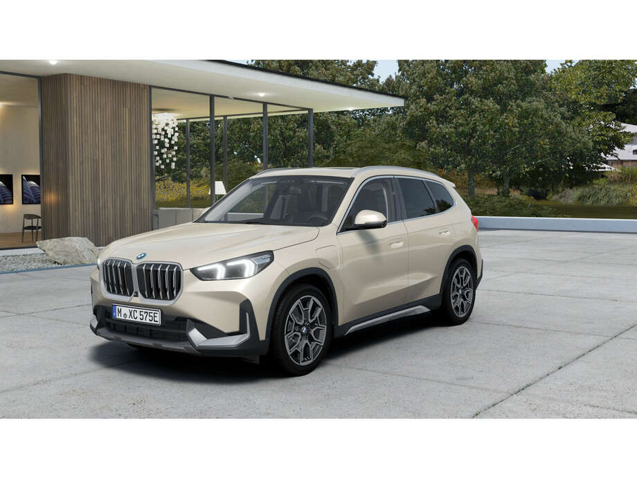 BMW X1 (Bild 1/5)