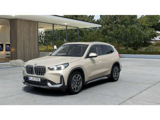 BMW X1 (Bild 1/5)
