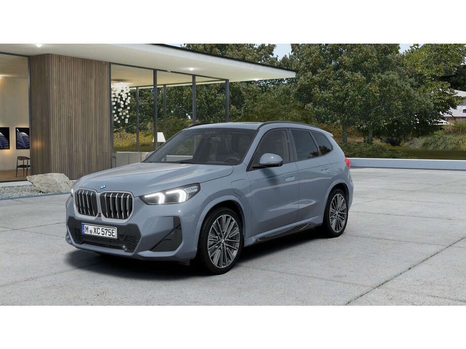 BMW X1 (Bild 1/5)