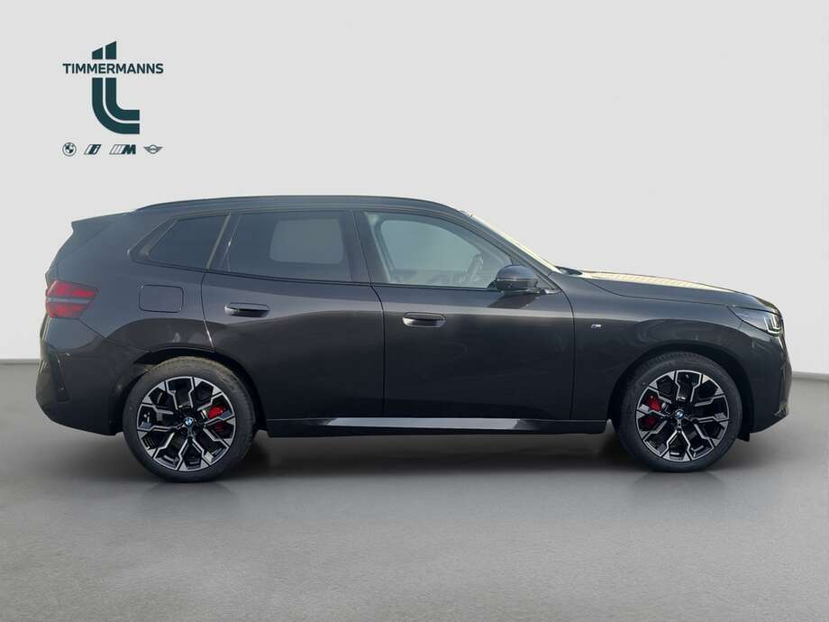 BMW X3 (Bild 6/17)