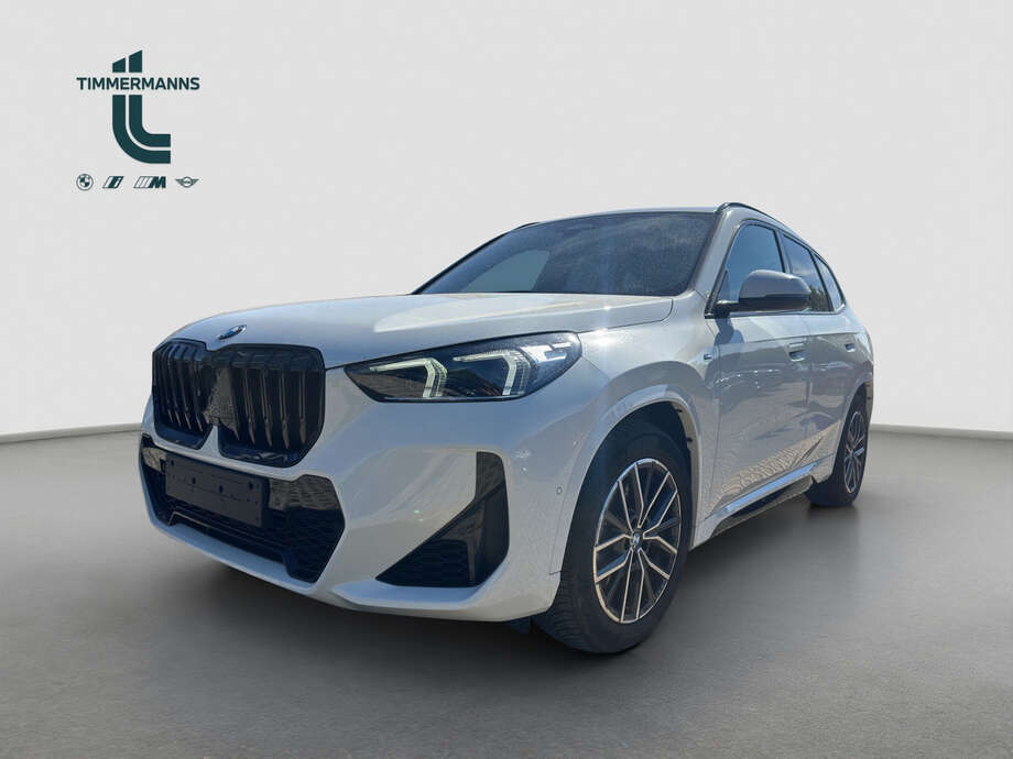 BMW X1 (Bild 1/17)