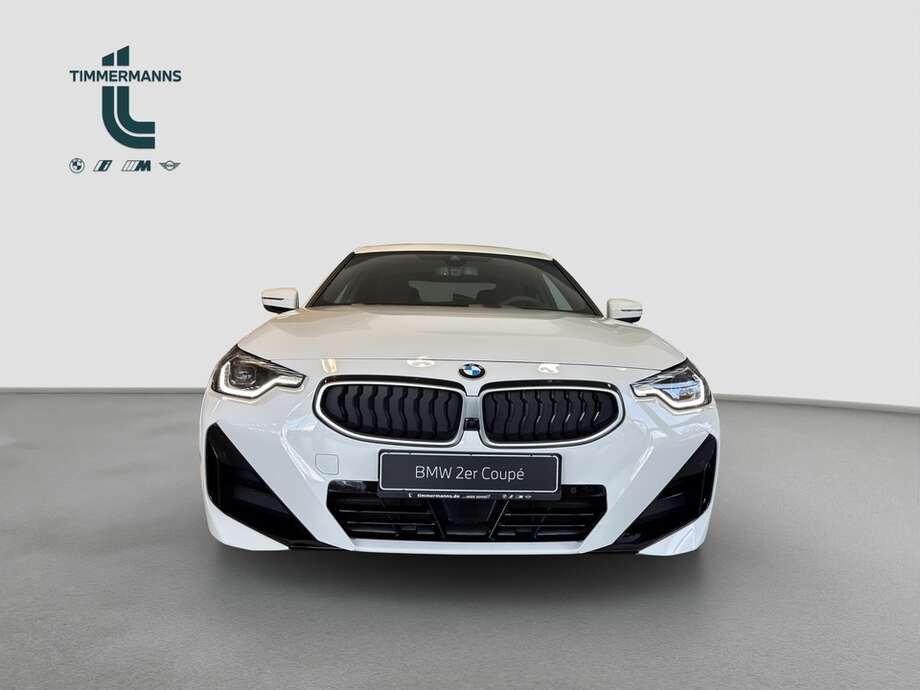 BMW 220 (Bild 8/17)