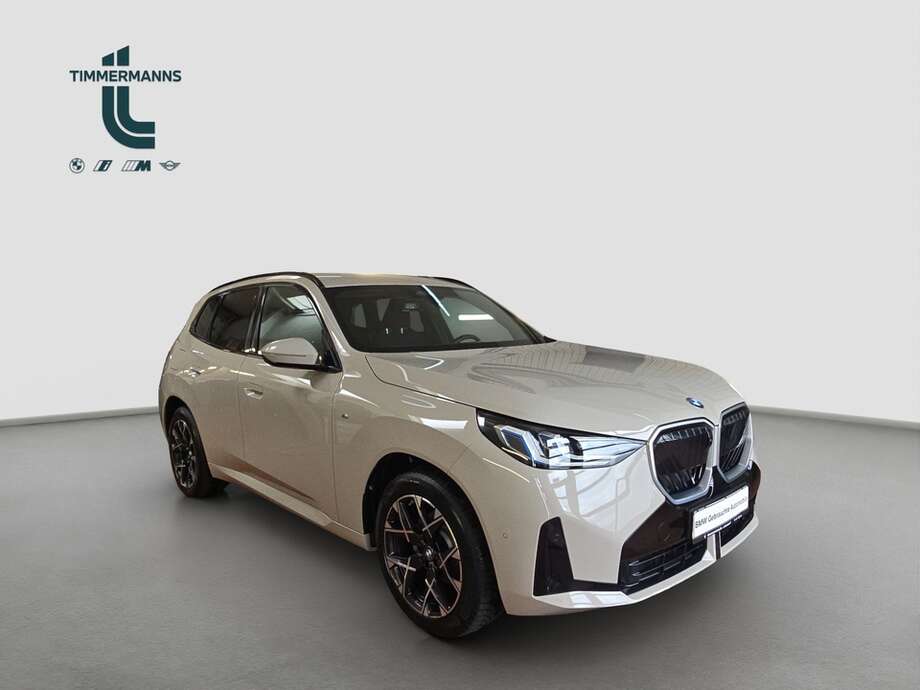 BMW X3 (Bild 7/19)