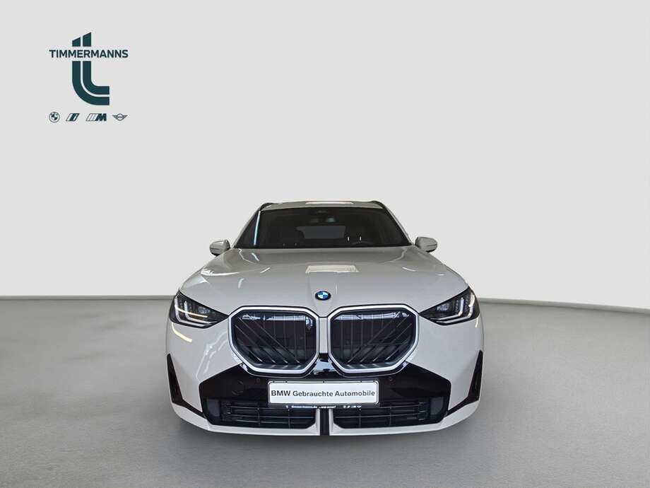 BMW X3 (Bild 8/19)