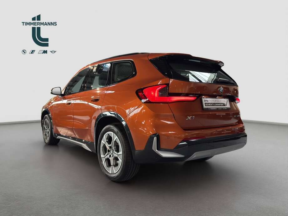 BMW X1 (Bild 3/19)