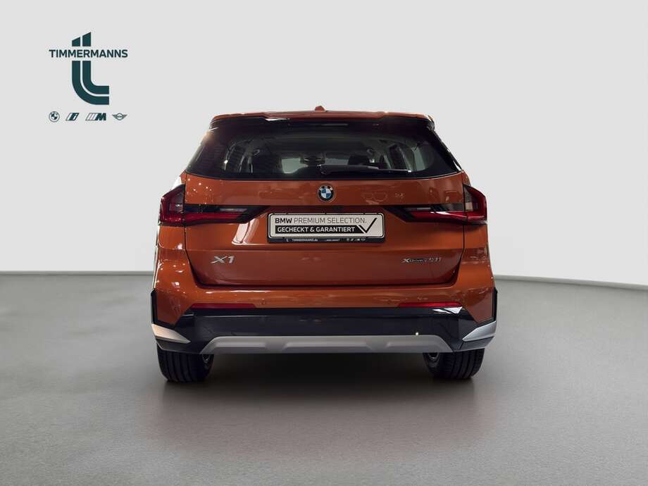 BMW X1 (Bild 4/19)