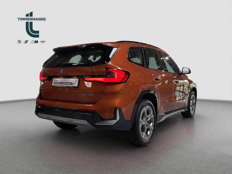 BMW X1 (Bild 5/19)