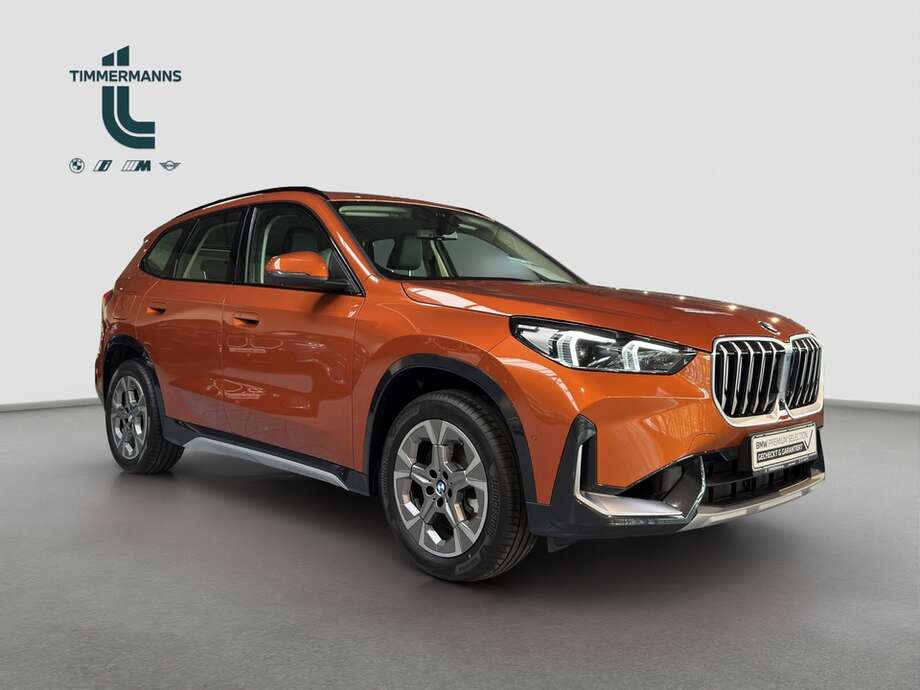 BMW X1 (Bild 8/19)