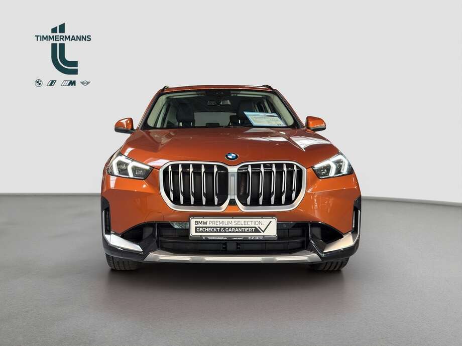 BMW X1 (Bild 9/19)