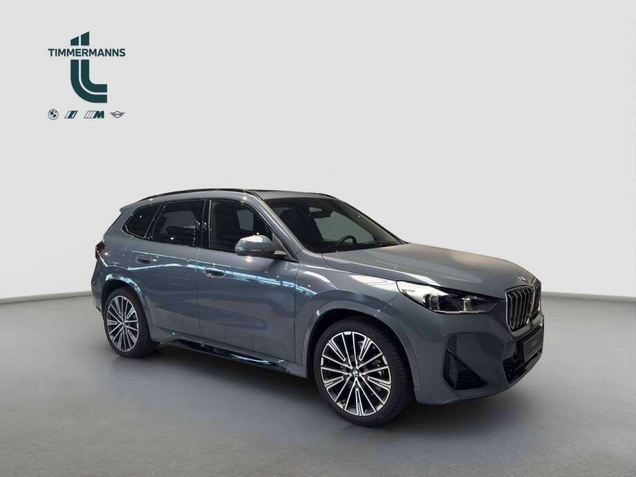 BMW X1 (Bild 7/15)