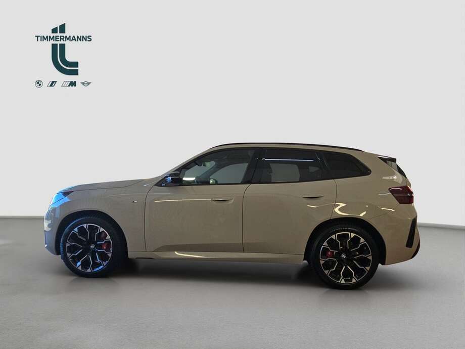 BMW X3 (Bild 2/18)