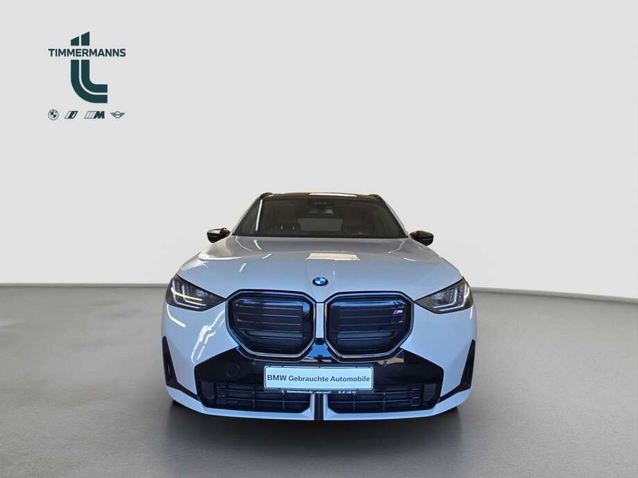 BMW X3 (Bild 8/18)