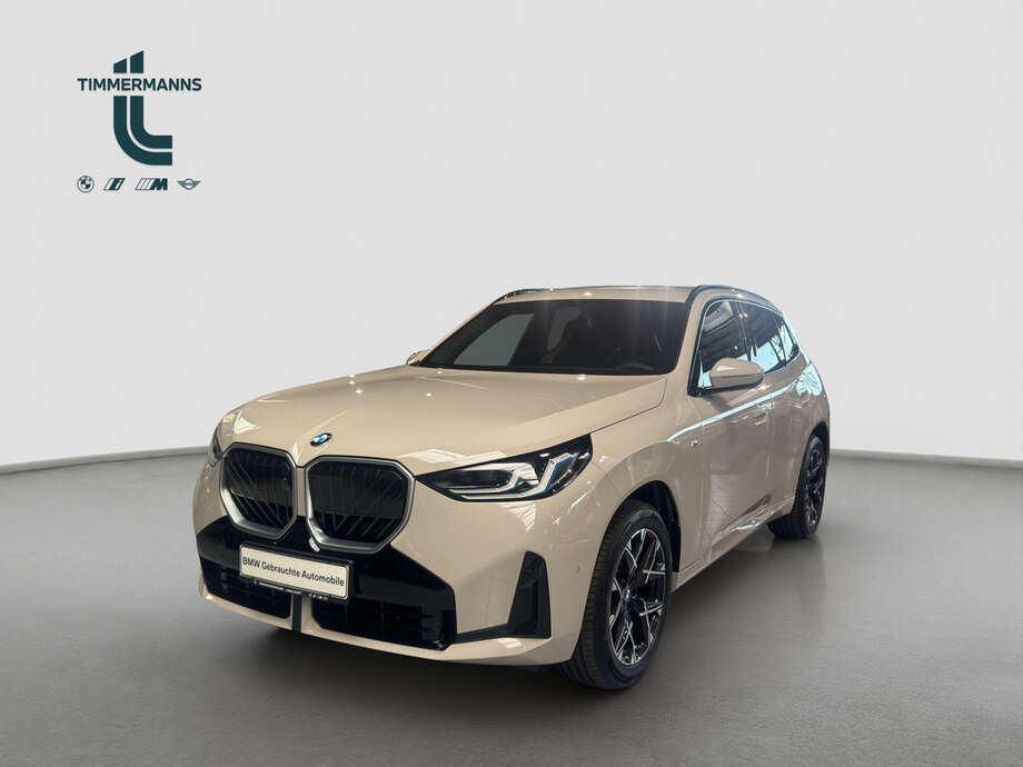 BMW X3 (Bild 1/15)