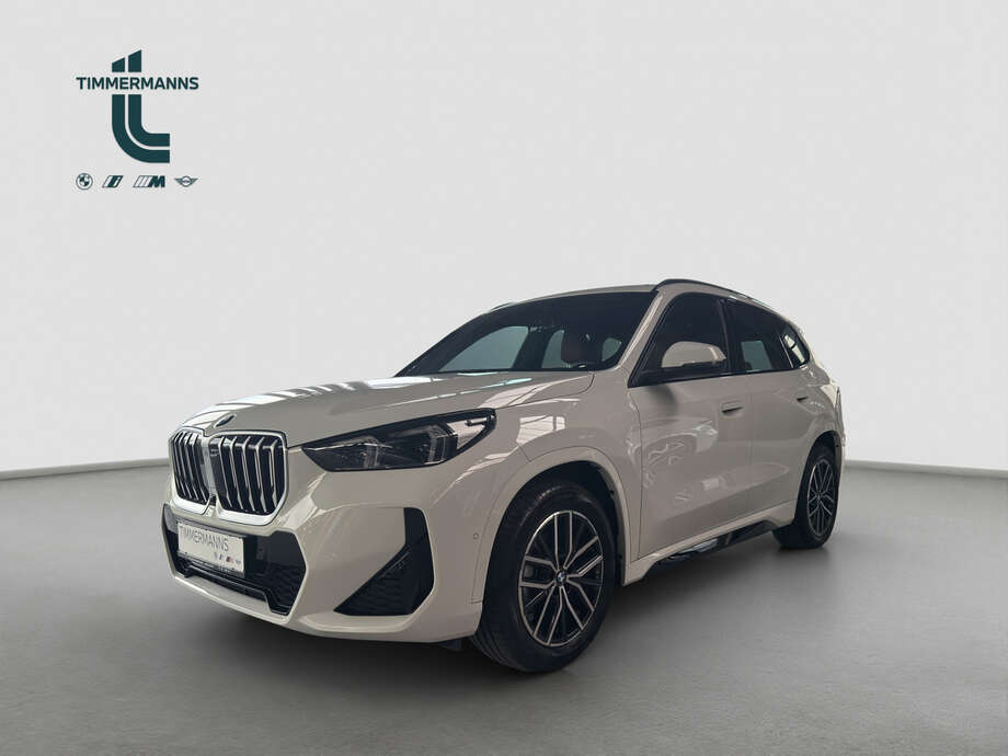 BMW X1 (Bild 1/26)