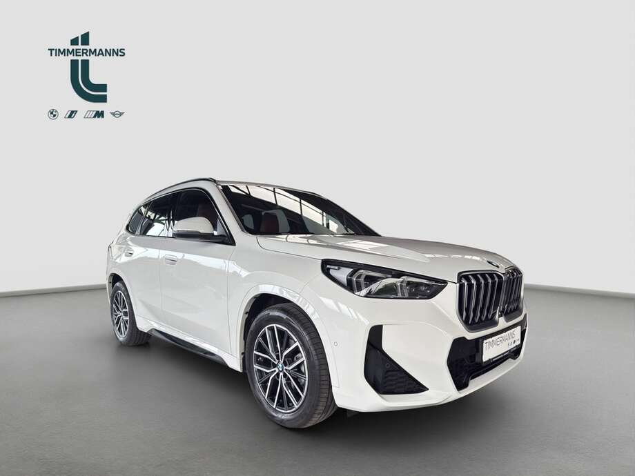 BMW X1 (Bild 8/26)