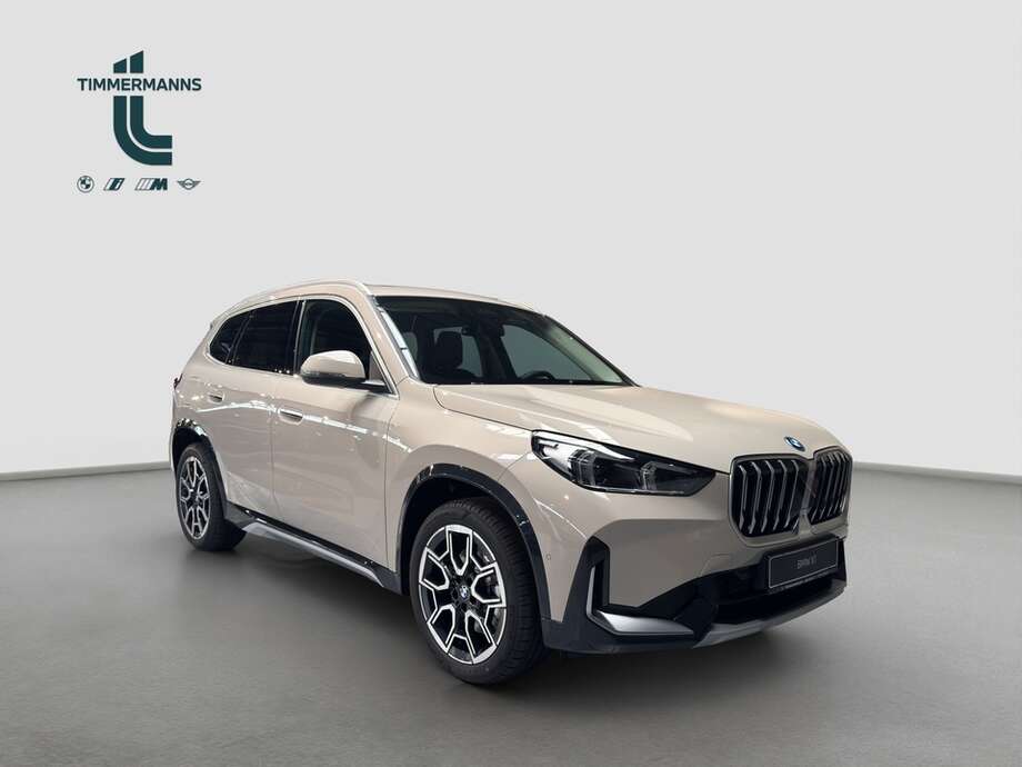 BMW X1 (Bild 7/16)