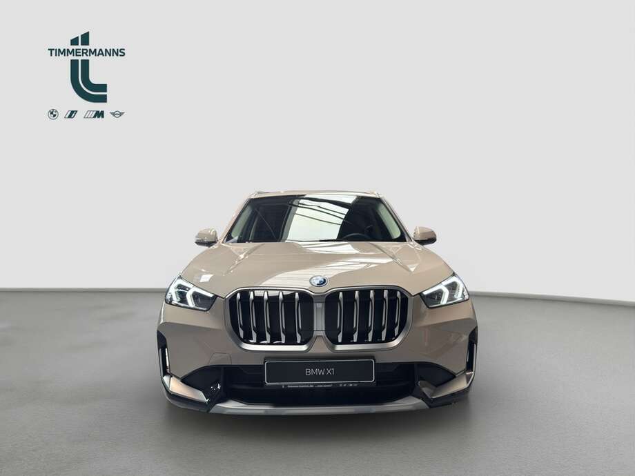 BMW X1 (Bild 8/16)