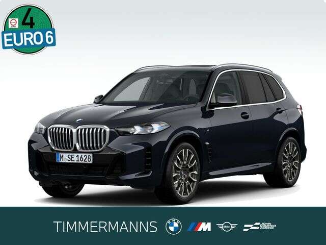 BMW X5 (Bild 1/5)
