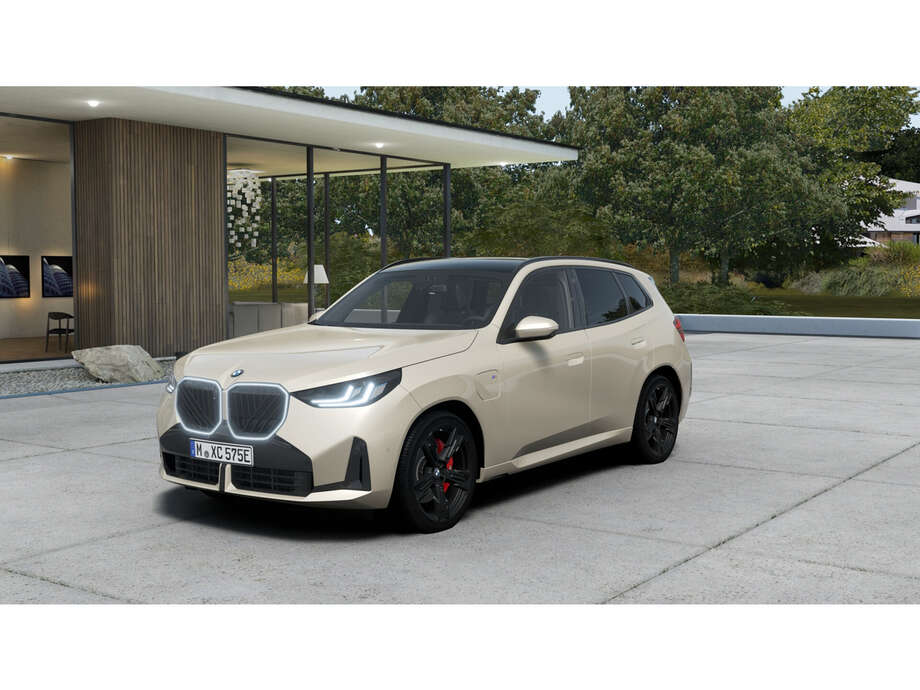 BMW X3 (Bild 1/5)