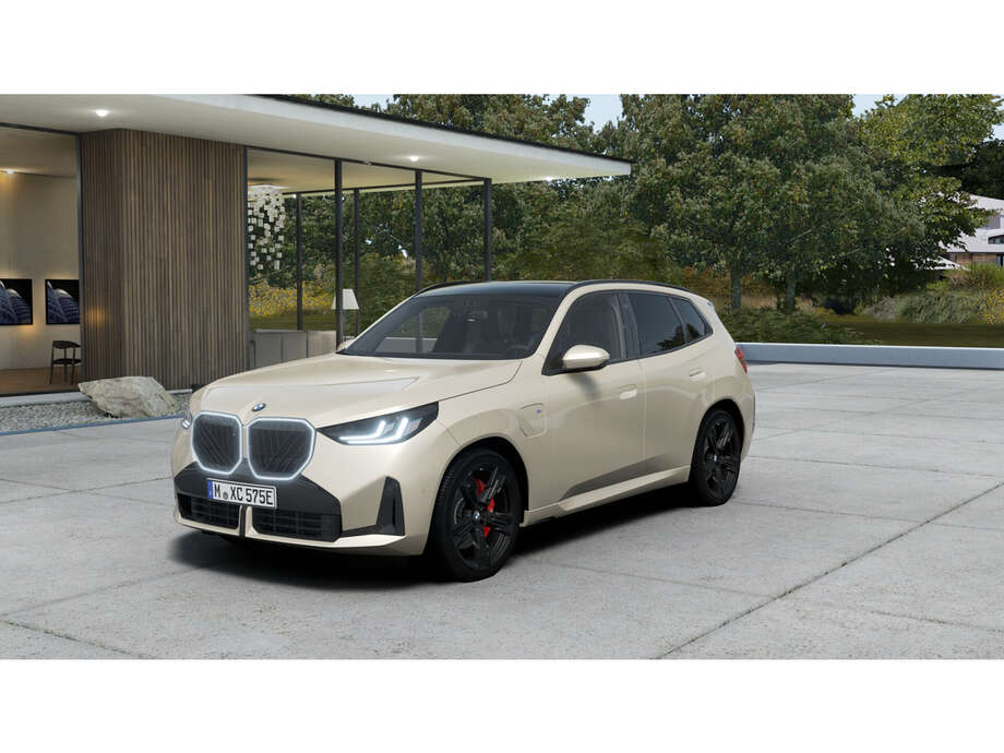 BMW X3 (Bild 1/5)