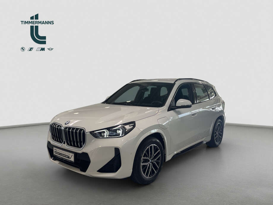 BMW X1 (Bild 1/16)