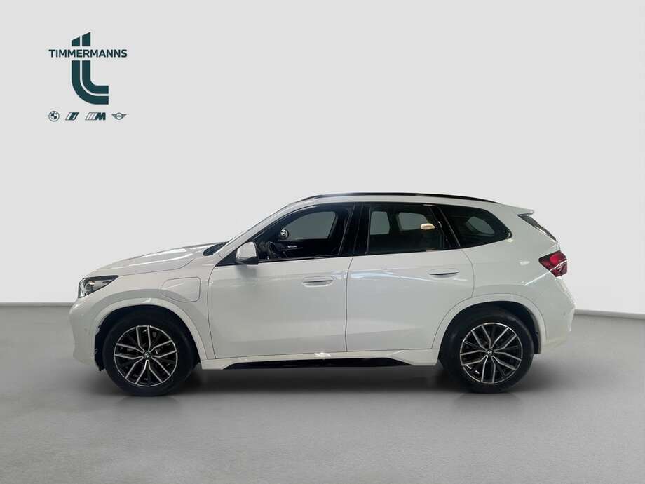 BMW X1 (Bild 2/16)