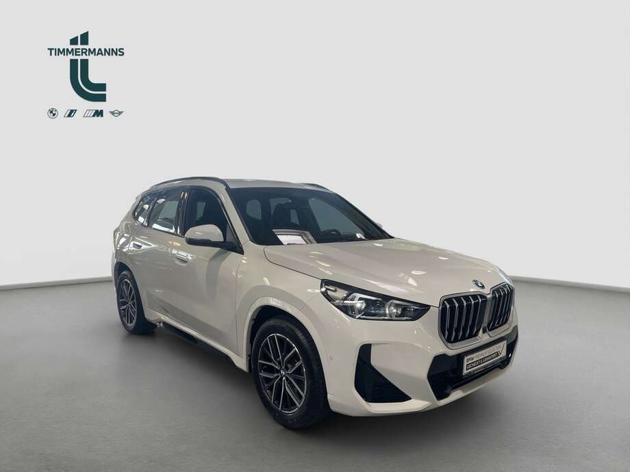BMW X1 (Bild 6/16)