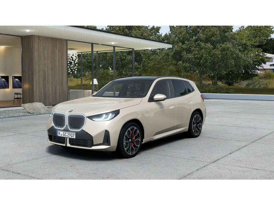 BMW X3 (Bild 1/5)
