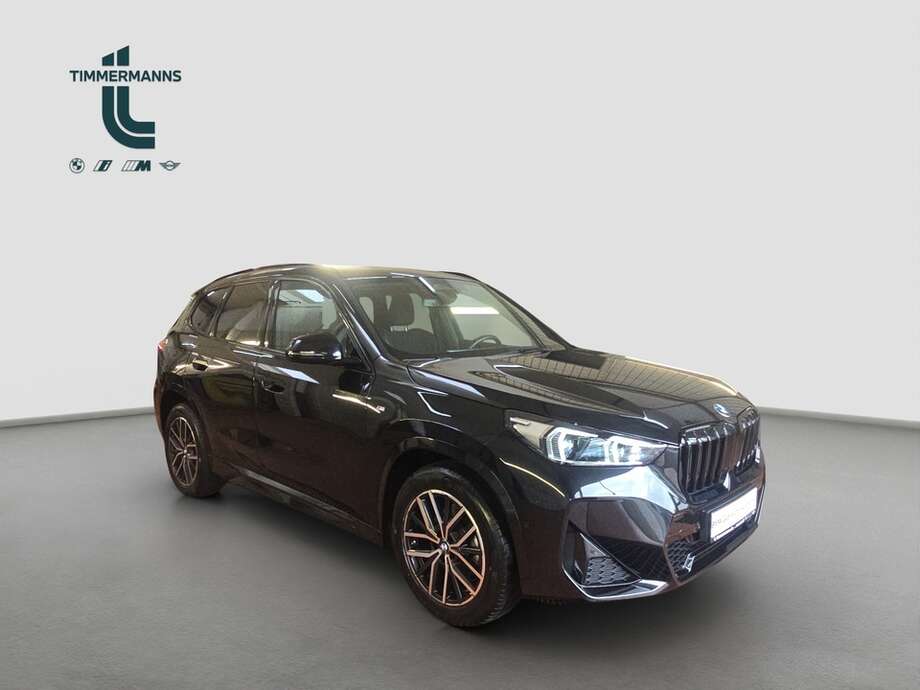 BMW X1 (Bild 7/18)