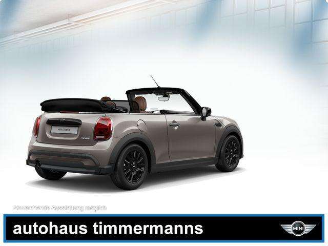 MINI Cooper Cabrio (Bild 5/5)