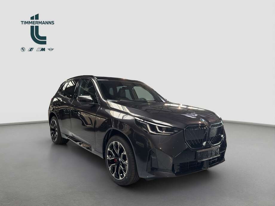 BMW X3 (Bild 7/15)