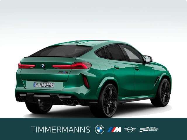 BMW X6 M (Bild 2/5)