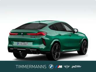BMW X6 M (Bild 2/5)