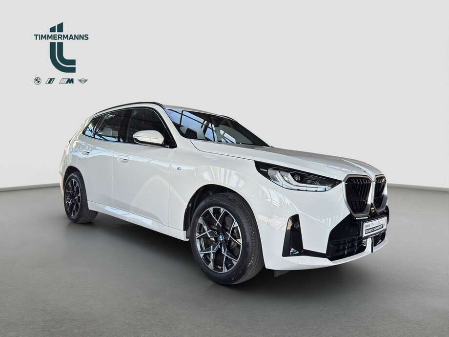 BMW X3 (Bild 9/22)