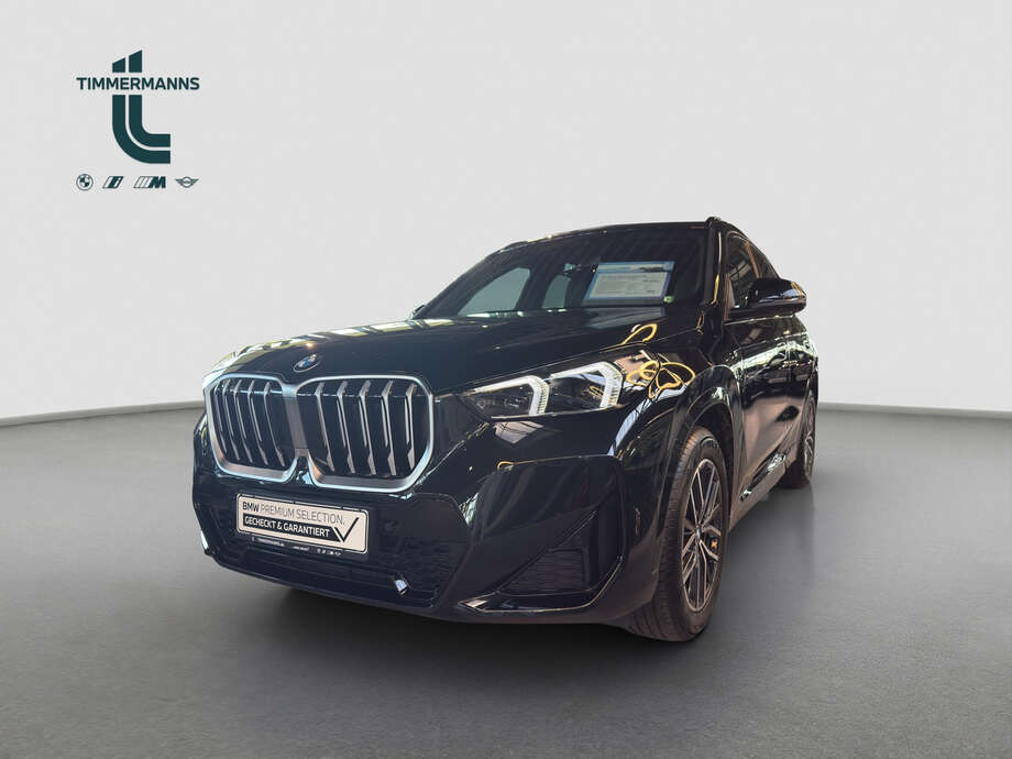 BMW X1 (Bild 1/30)