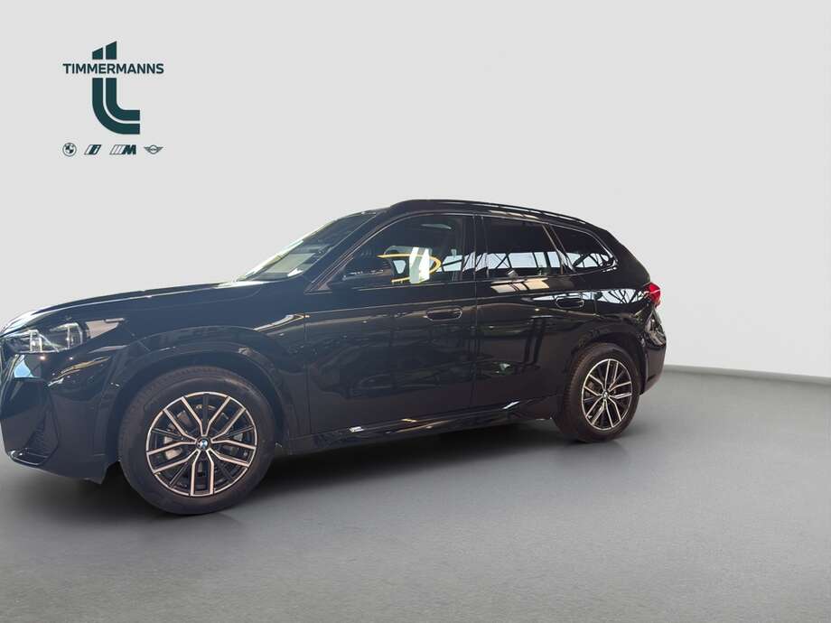 BMW X1 (Bild 2/30)